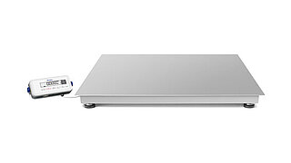 Product picture of a Puro Floor Scale