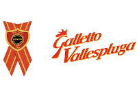 Logo Valle Spluga
